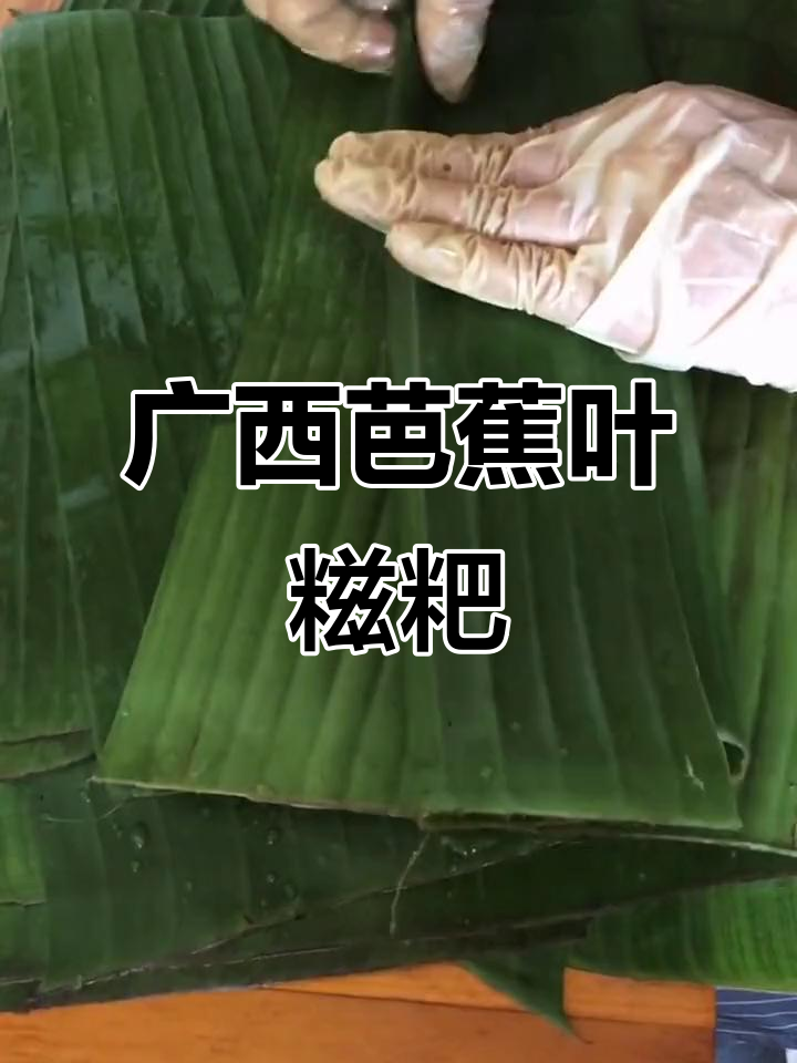 广西芭蕉叶糍粑，冷热口感大不同！糯叽叽的家乡味