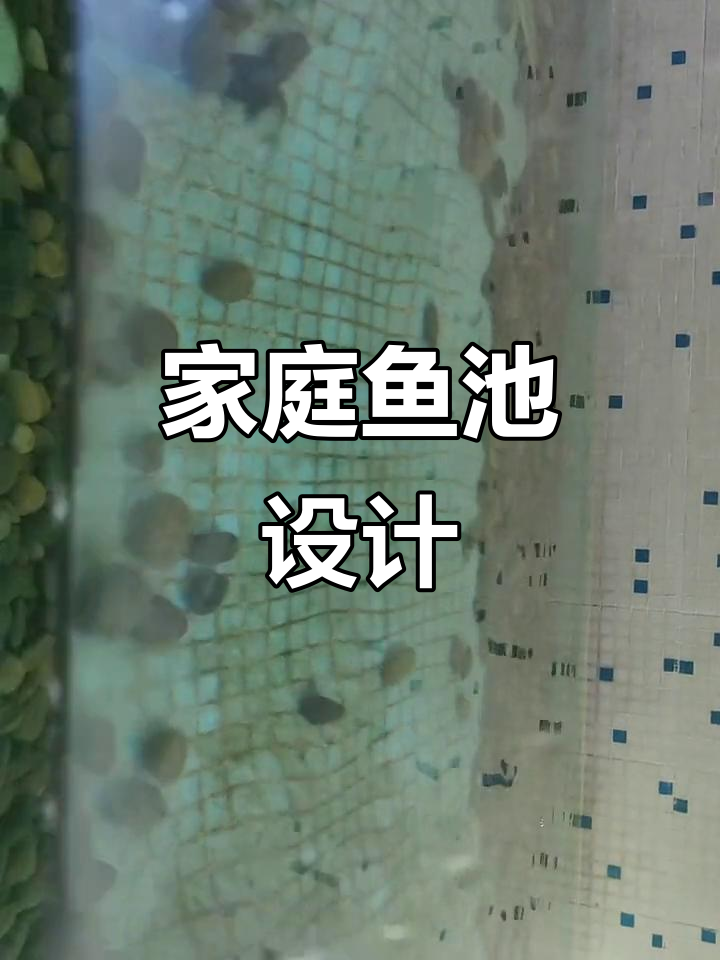 室内鱼池设计与建造技巧,打造完美水景