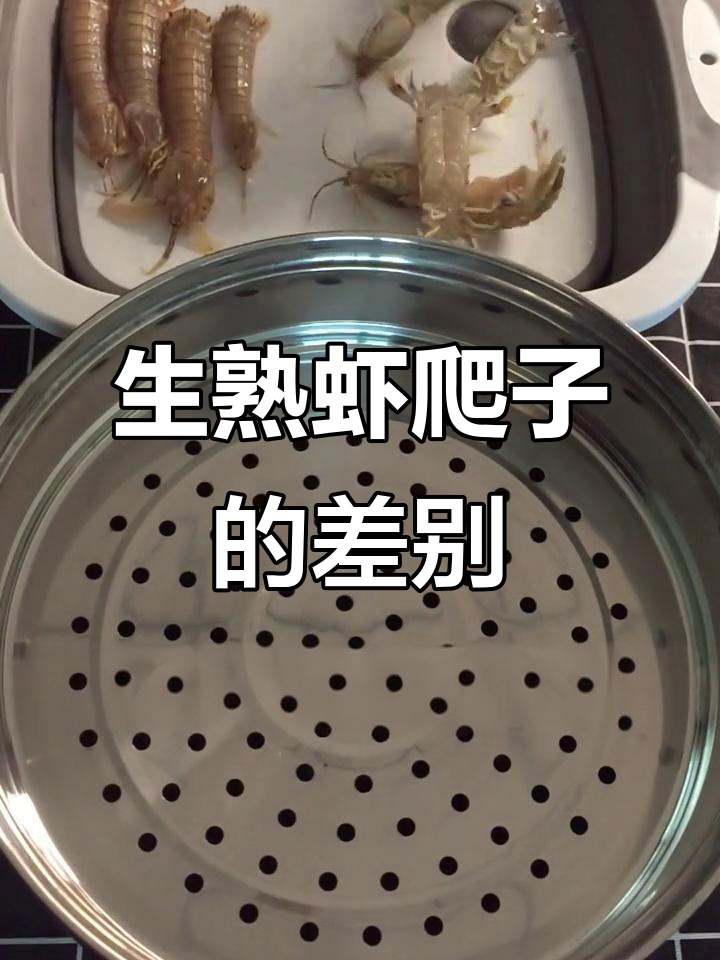 活虾爬子与死虾的区别,颜色和四肢都能告诉你答案