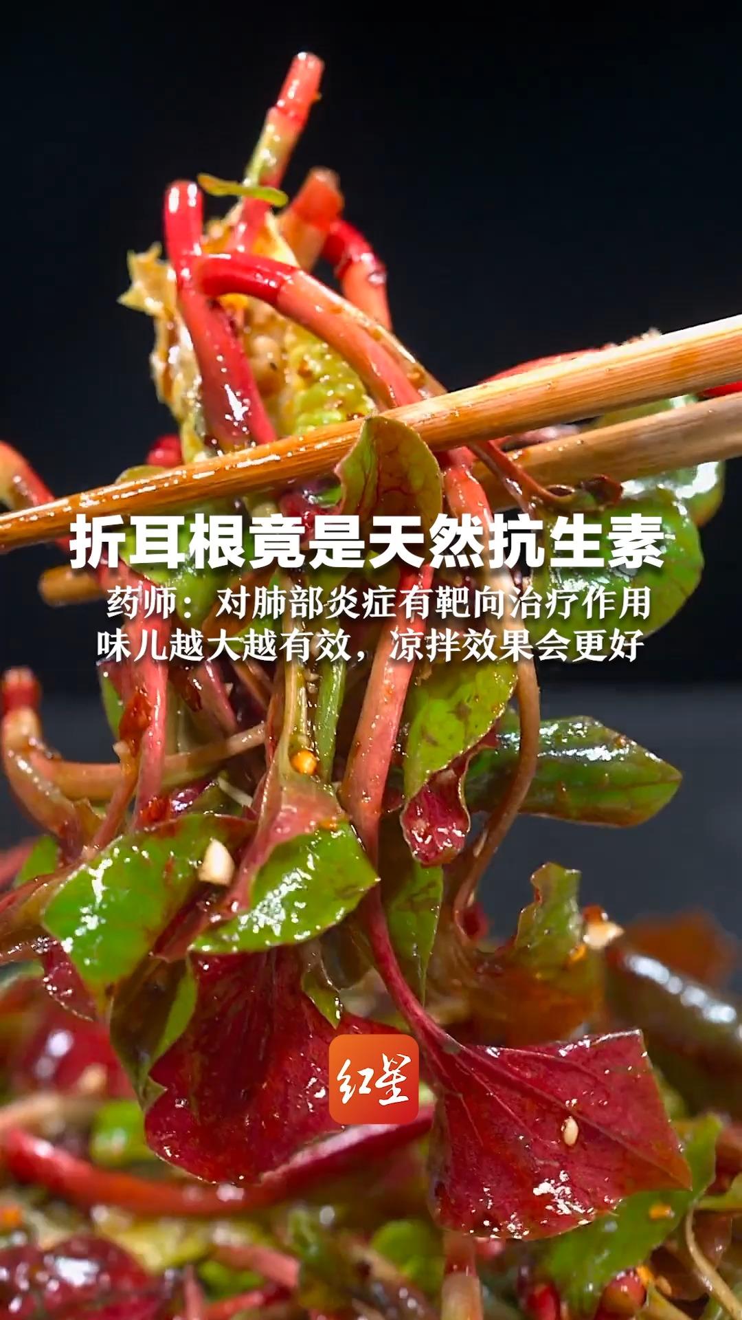 折耳根竟是天然抗生素 药师:对肺部炎症有靶向治疗作用 味儿越大越有效,凉拌效果会更好