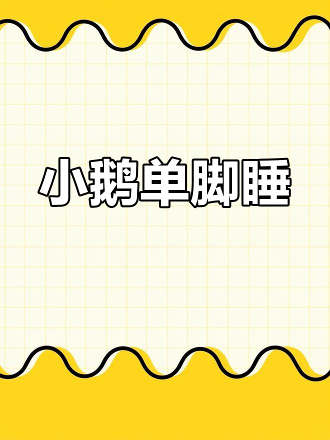小鹅失去窝,单脚睡觉萌态十足