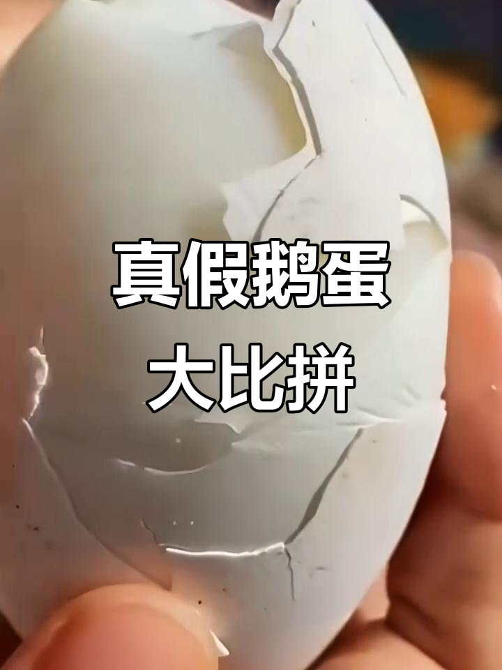 鹅蛋真假难辨,煮熟后竟然是这样!