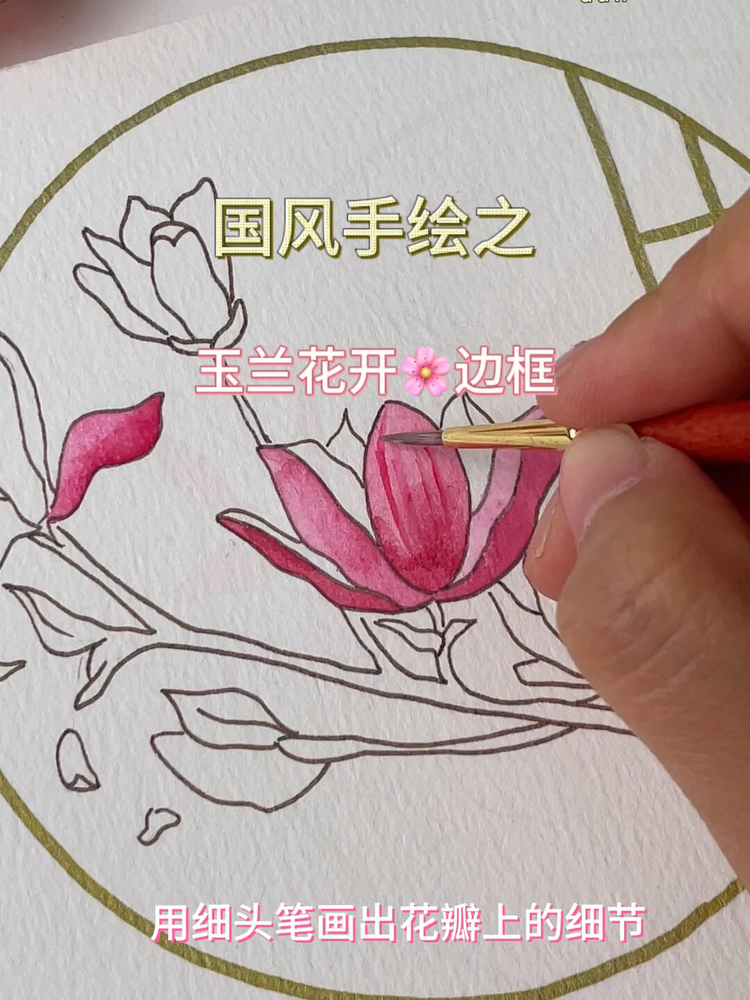 手绘|玉兰花开 边框·下
