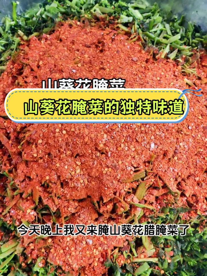 芥末原料山葵花辣眼菜,呛鼻又刺激