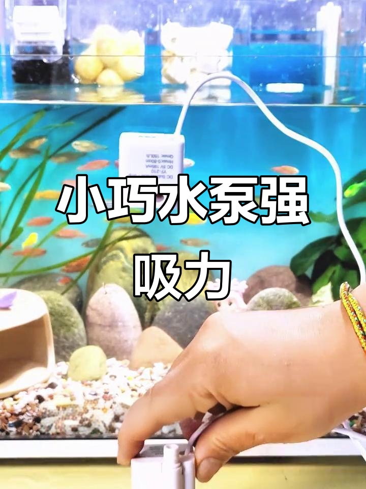 迷你水泵吸污力惊人，鱼缸清洁神器