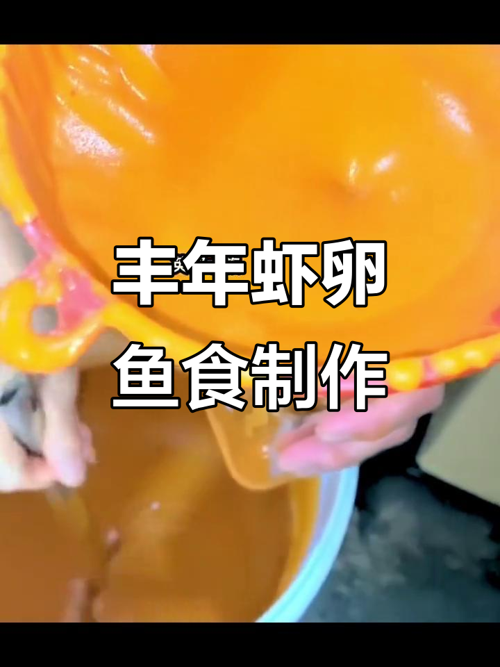 丰年虾幼虫孵化与喂食小鱼,效果超乎想象