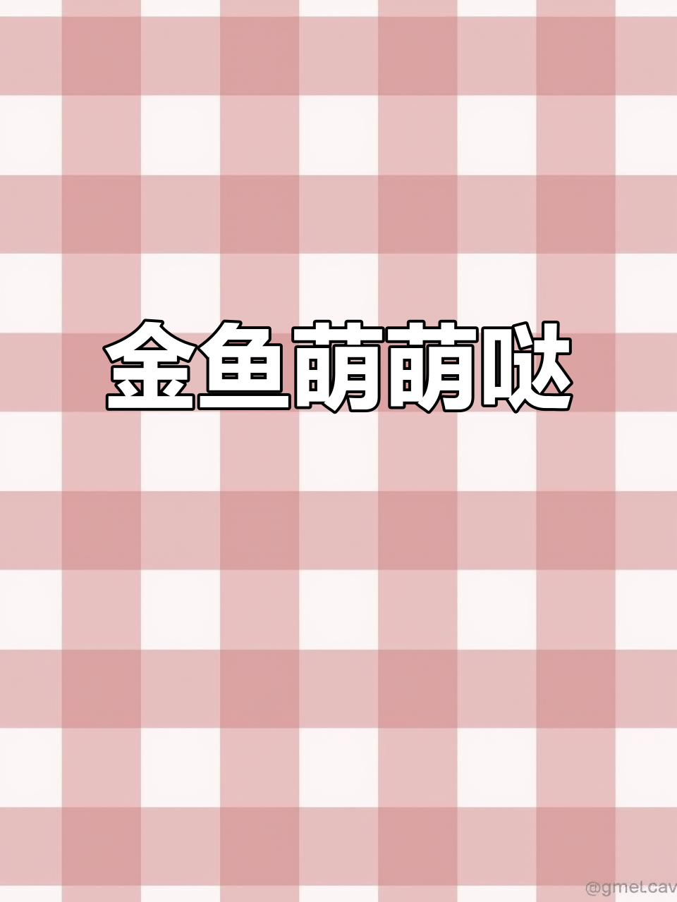 兰寿金鱼悠闲游动,圆肚萌态十足,互动感让人忍不住想靠近