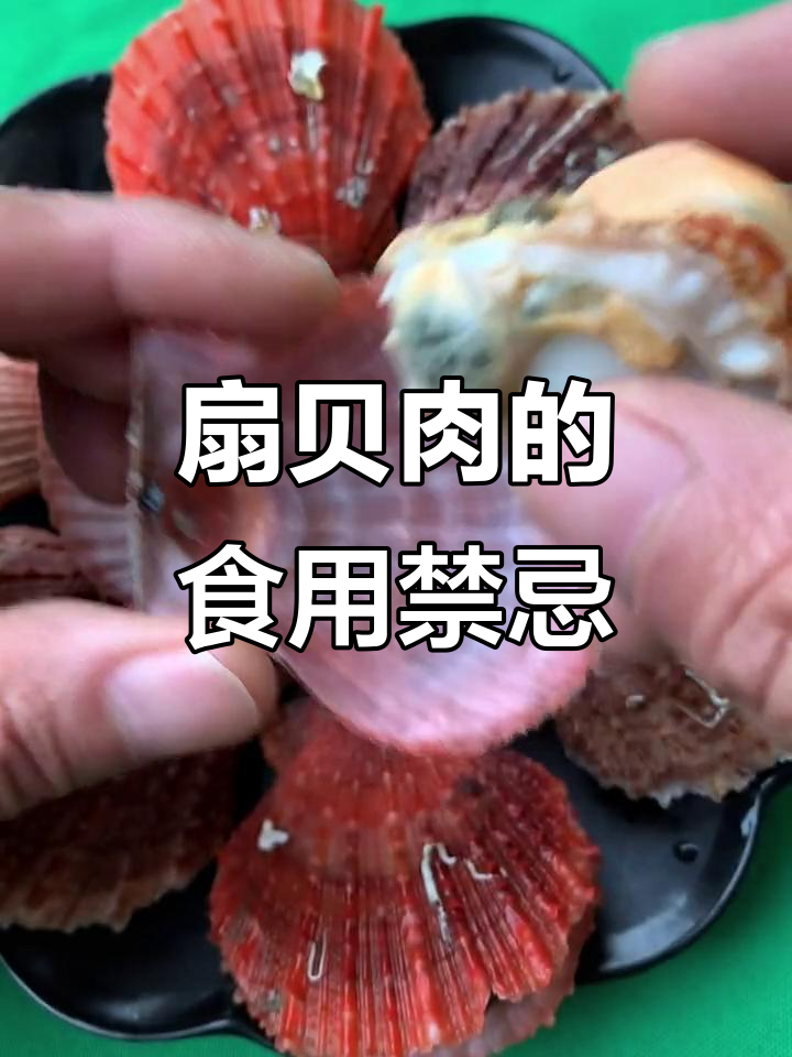 扇贝肉到底哪些部分能吃?瑶柱鲜甜,其他地方能放心吃吗