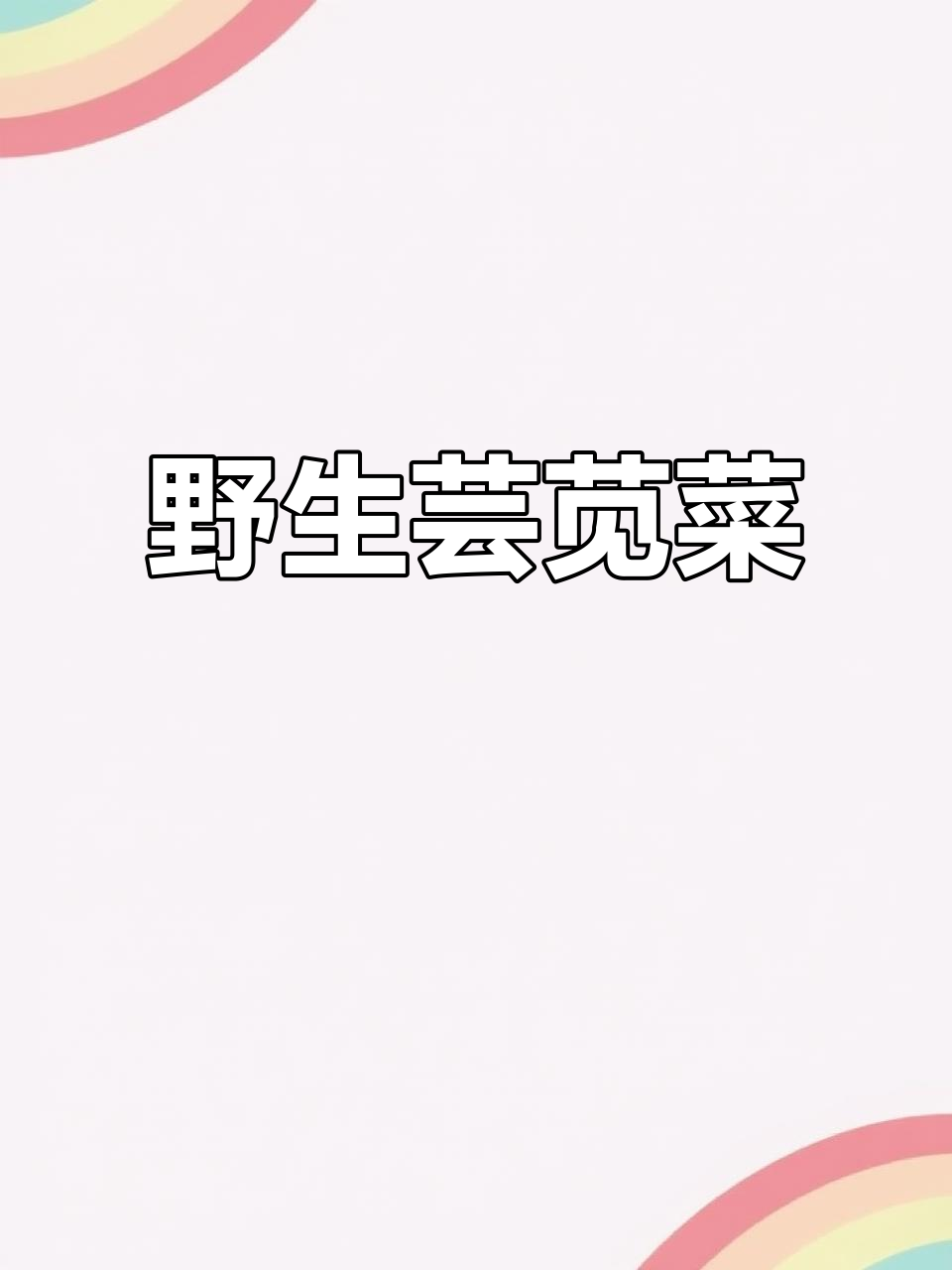 纯天然野生芸苋菜,雨后新生,无农药无肥料