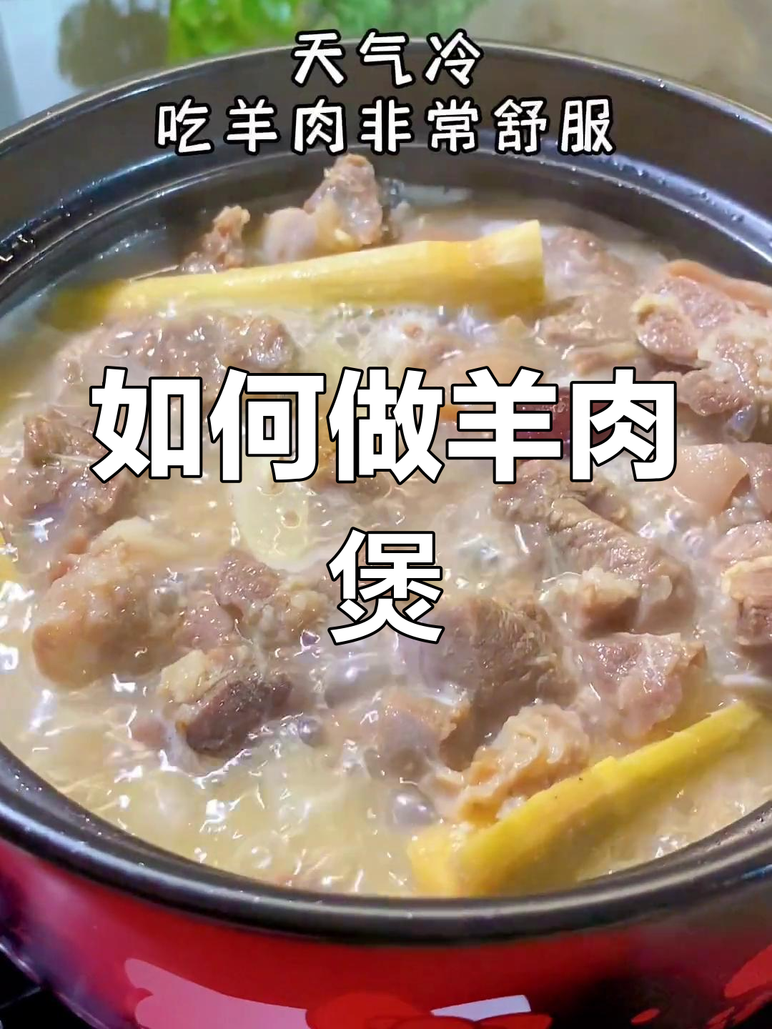 羊肉煲的做法详解