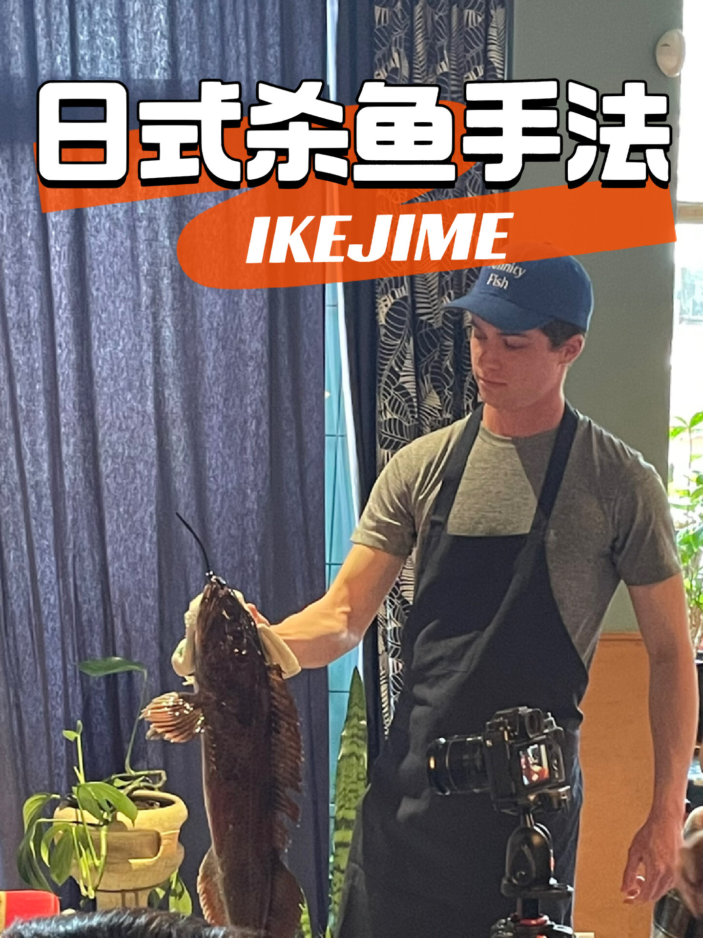 这才是正确仁慈的杀鱼手法!别再暴摔鱼了!