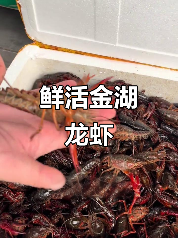 金湖龙虾新鲜出炉,陈师傅亲手制作燕皮美味