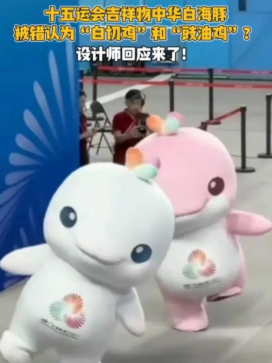 十五运会吉祥物中华白海豚被错认为“白切鸡”和“豉油鸡”？设计师回应来了！喜洋洋乐融融十五运