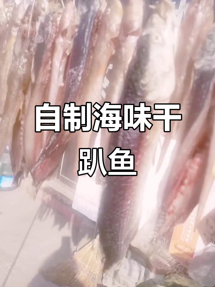 自家船捕捞胖头鱼，晒干后鲜美无比