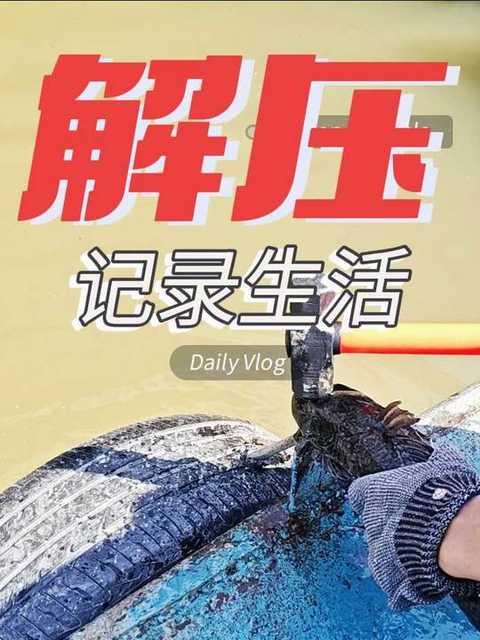 消灭害鱼清道夫之解压