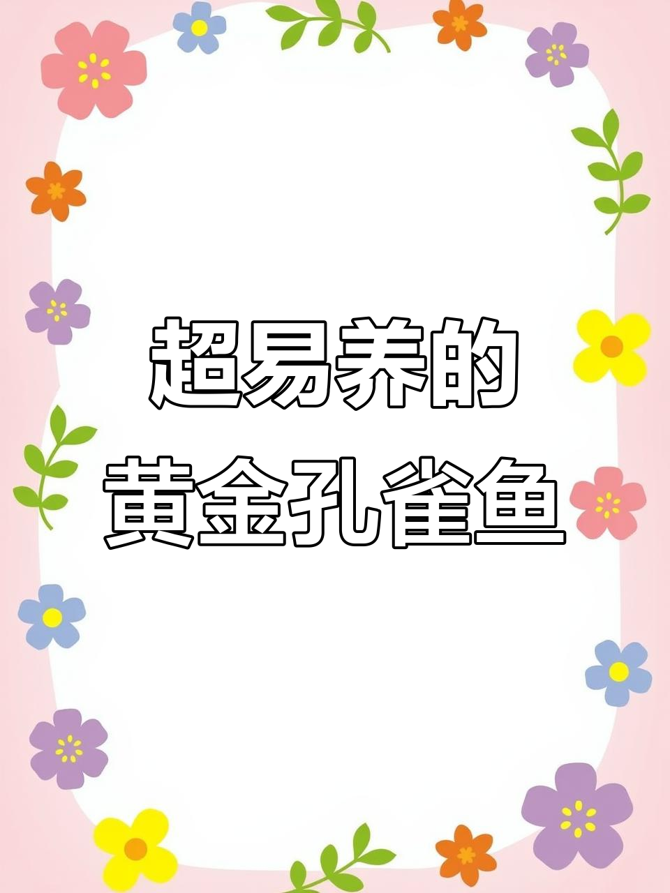 黄金孔雀鱼:比泥鳅好养,能生如老母猪,金光闪闪惊艳全场
