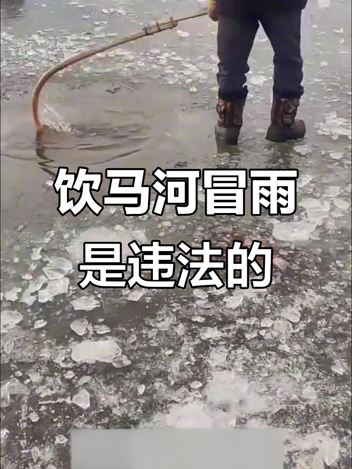 饮马河捋钩锚鱼:传统渔猎文化还是非法捕捞?