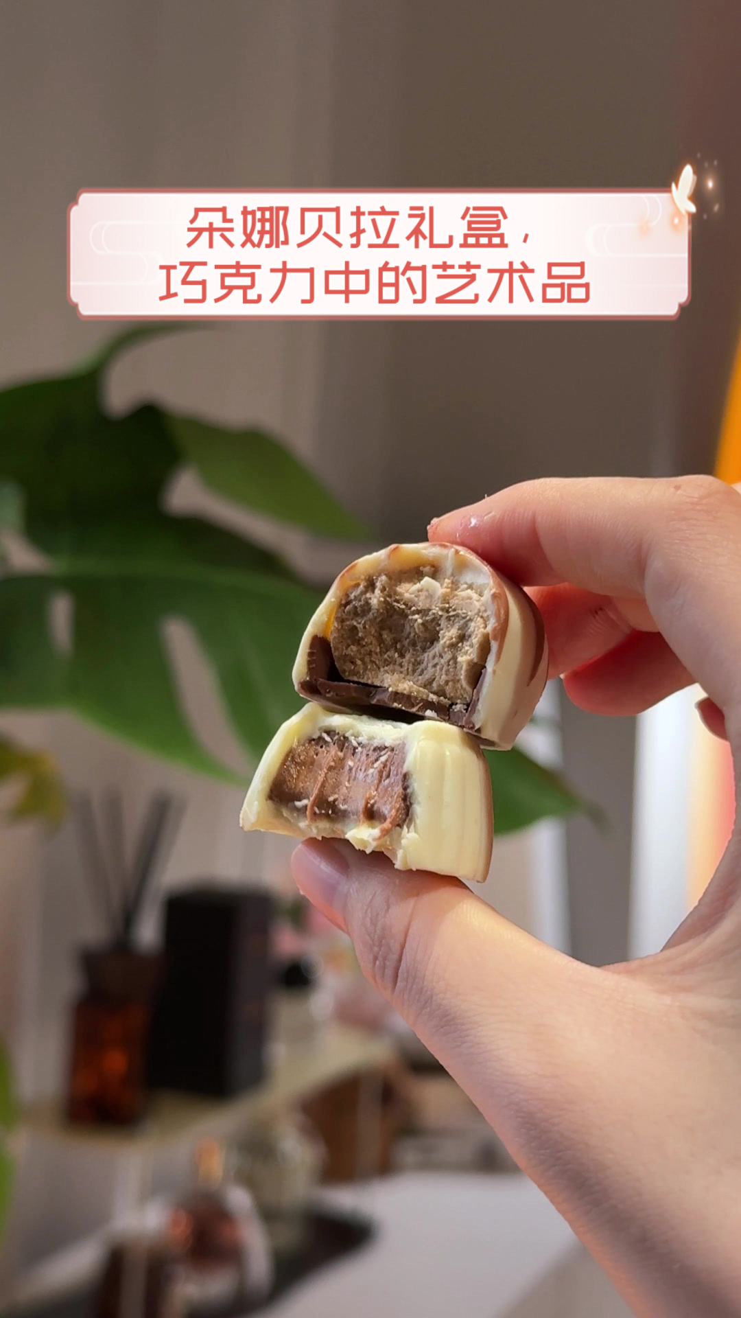 朵娜贝拉礼盒,巧克力中的艺术品