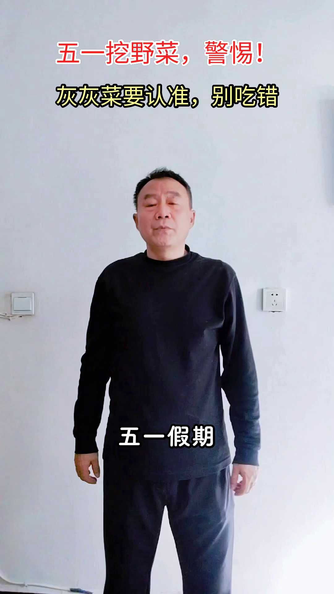 五一挖野菜?灰灰菜要认准!