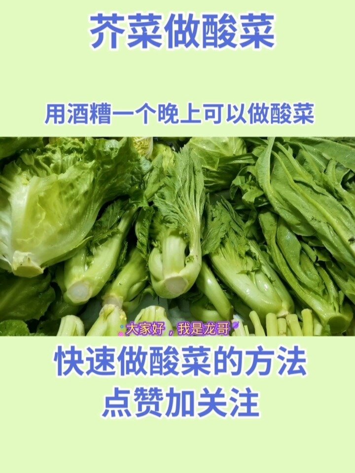 用酒糟快速做酸菜的方法,一个晚上可以做成