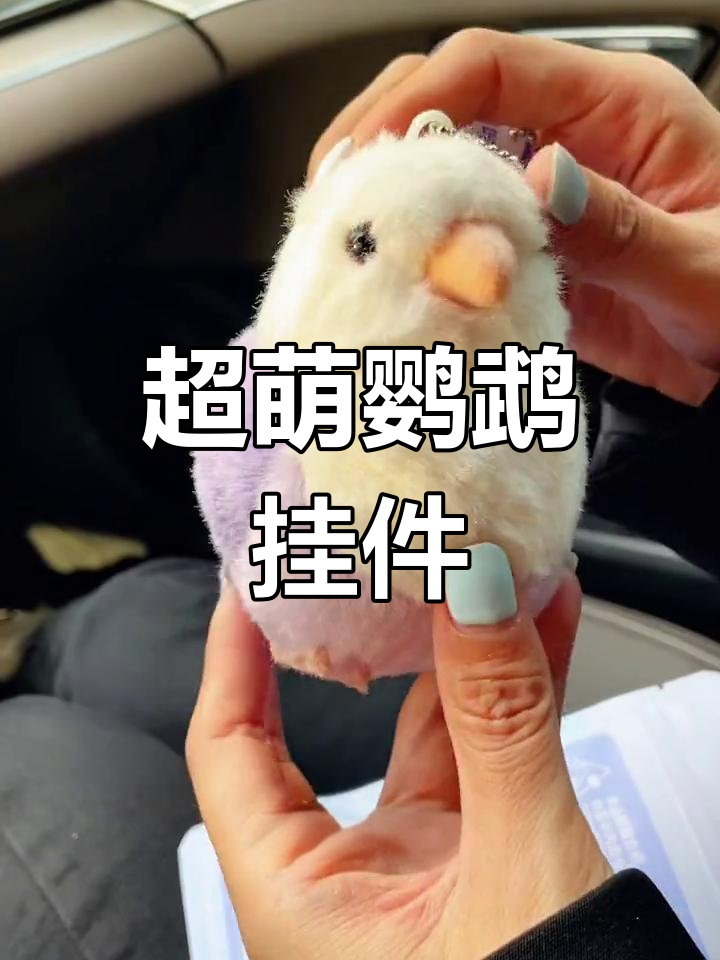 呆萌鹦鹉玩偶,毛绒可爱让人无法抗拒