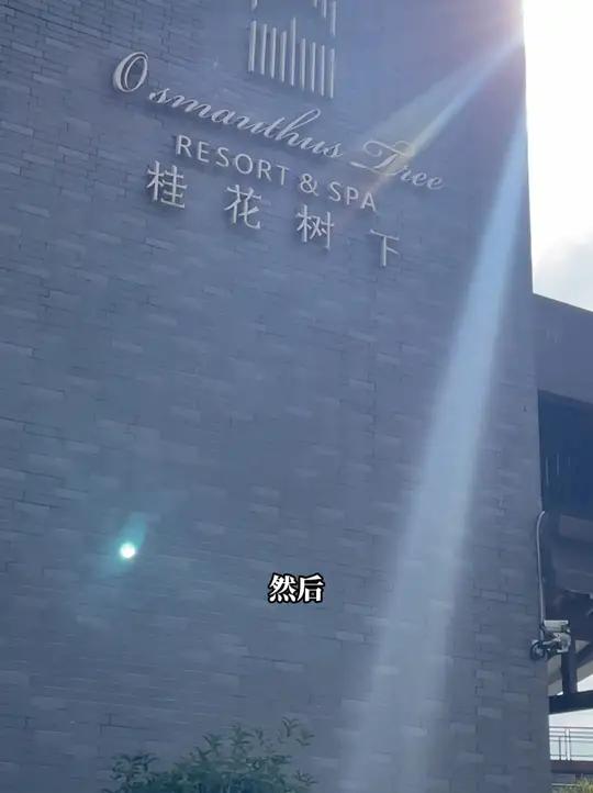 桂林新青年·陈鹏——文化创客新势力 记者:莫林骐 何韬羽 蒋佩玲