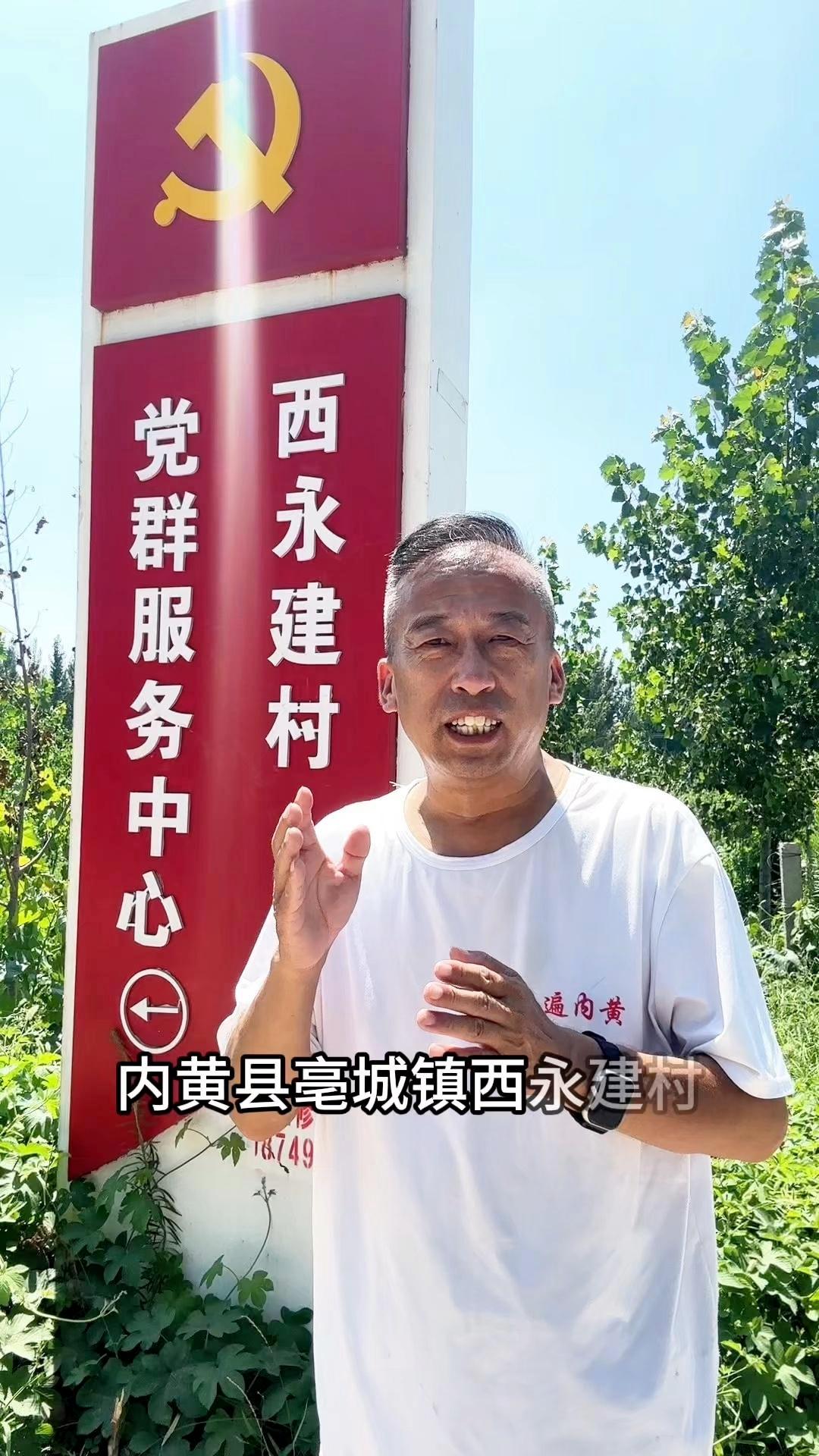 打卡西永建村，感受大棚蔬菜文化！