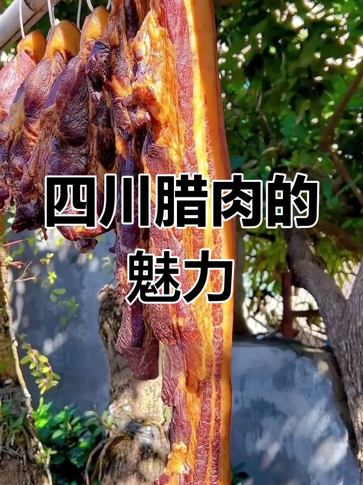 四川腊肉为何让人欲罢不能?独特熏制工艺让五花肉更香