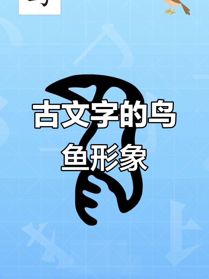 甲骨文的鸟与鱼：从字形到字义的趣味解析