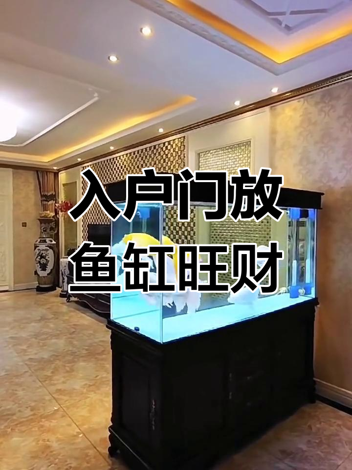 鱼缸放在入户门,财运滚滚来!