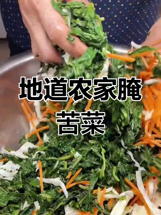 农村野菜腌苦菜的独特风味,儿时回忆的味道