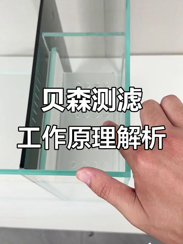 贝森侧滤缸过滤原理揭秘，干湿分离与生化循环全过程