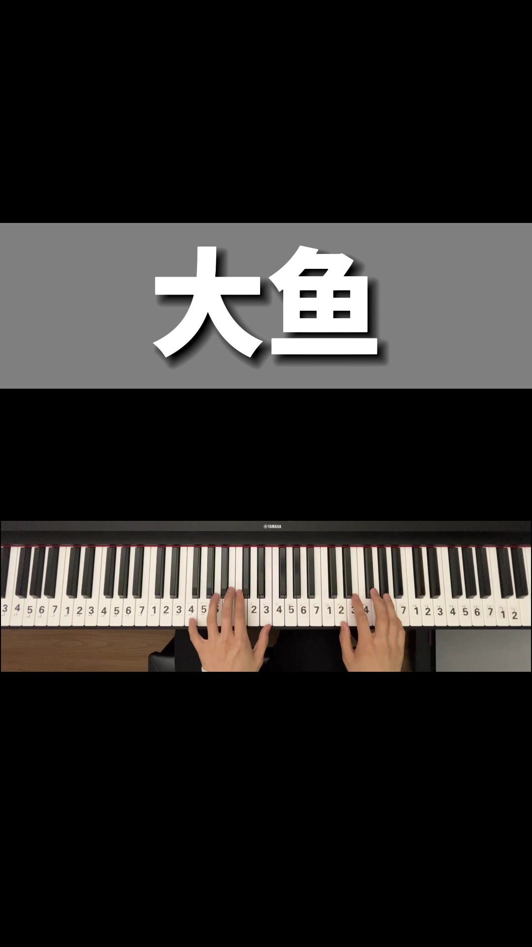《大鱼》简单好听双手简谱