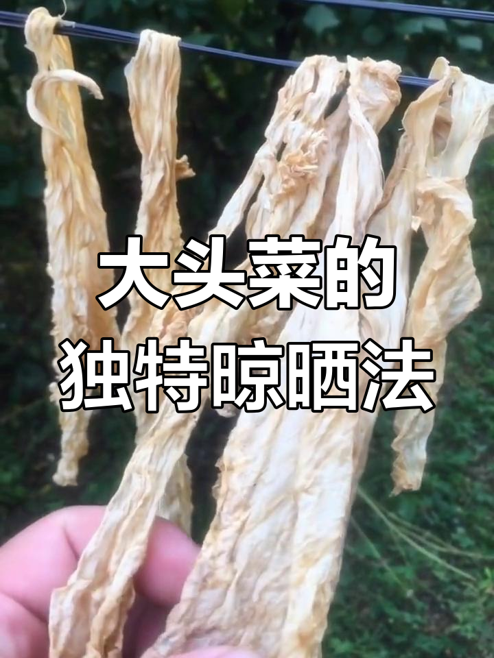 晒大头菜干,竟然是这样做的!