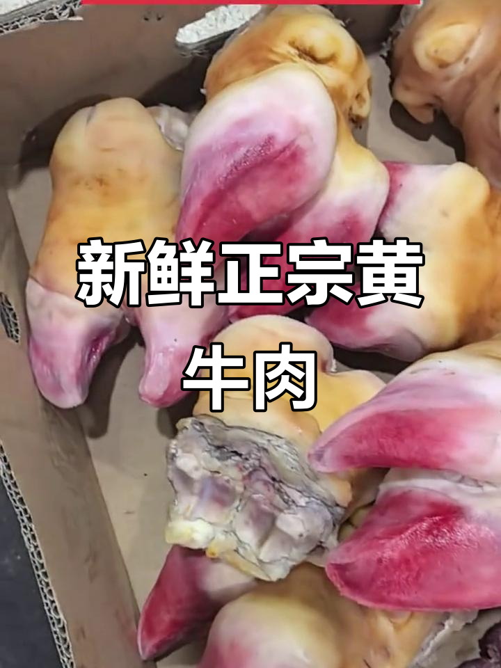 正宗黄牛肉,鲜美无比!回头率爆棚的绝味火锅