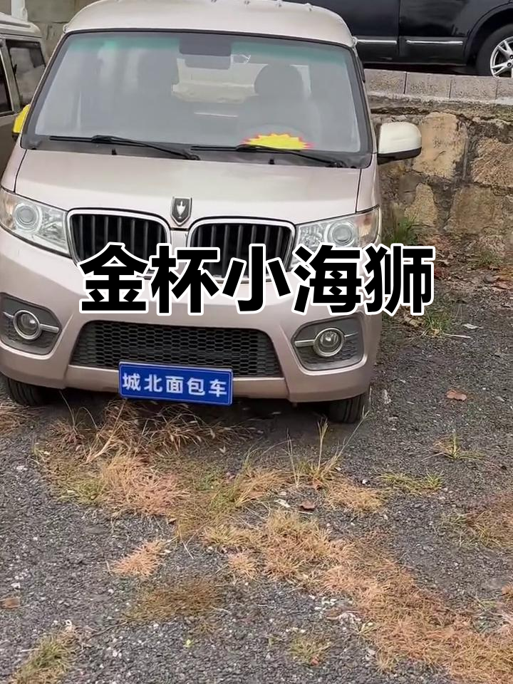 16年金杯海狮,配置完善,全款5980元