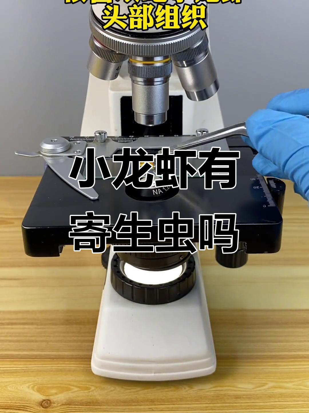 小龙虾到底有没有寄生虫?显微镜下揭秘真相