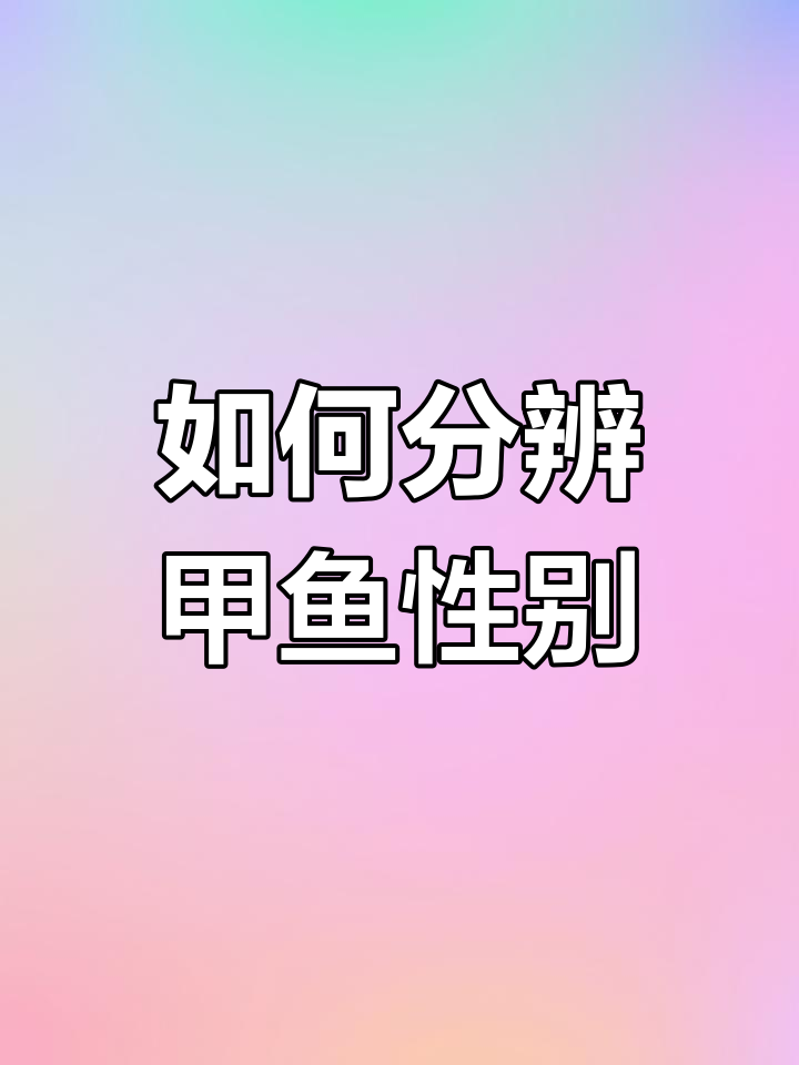 甲鱼公母辨别法:尾巴长短有玄机
