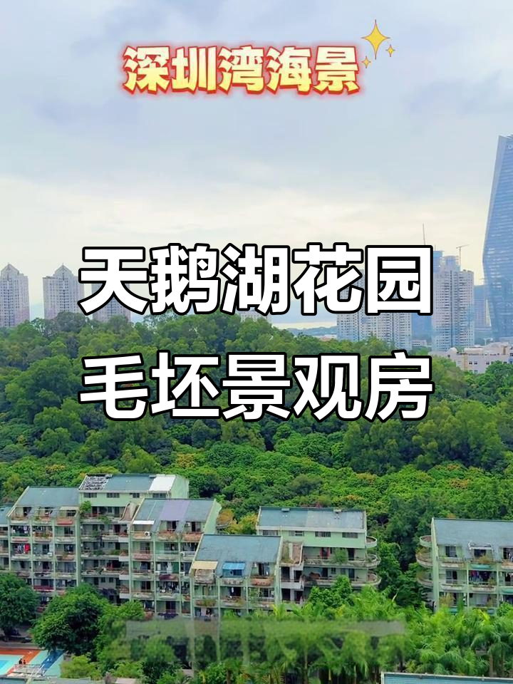 天鹅湖花园三期毛坯景观房,120平大阳台享海景与公园美景