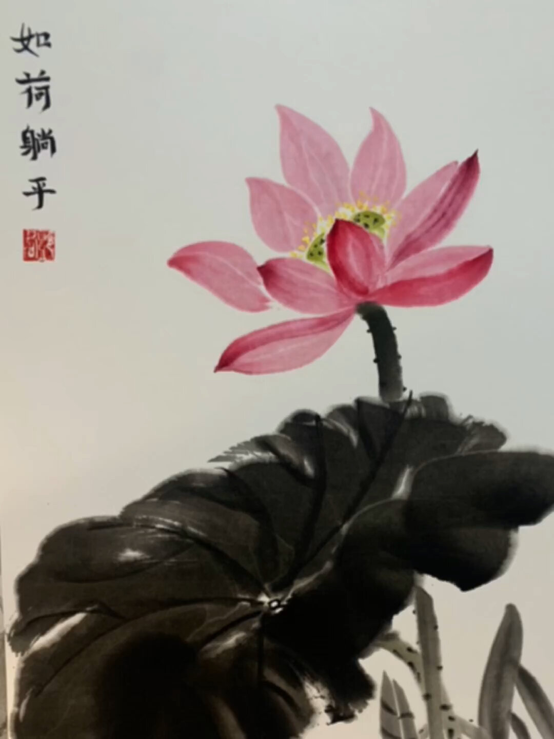国画写意荷花