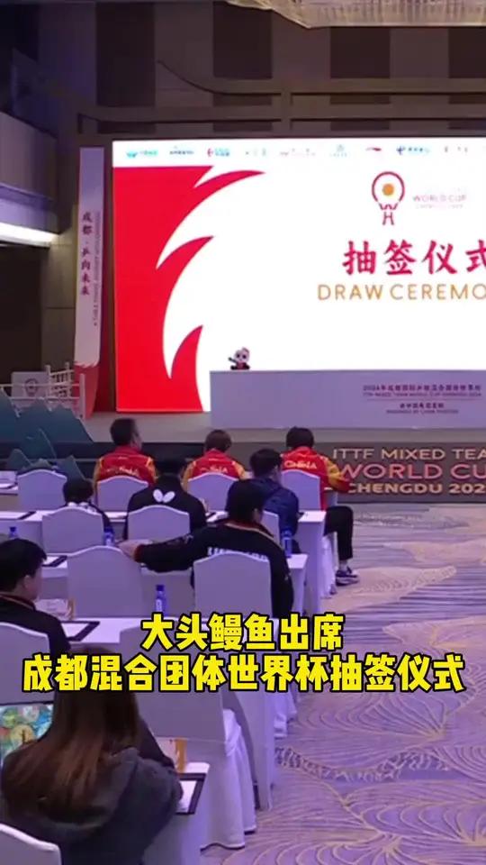 大头鳗鱼出席成都混合团体世界杯抽签仪式!王楚钦 王曼昱 成都混合团体世界杯