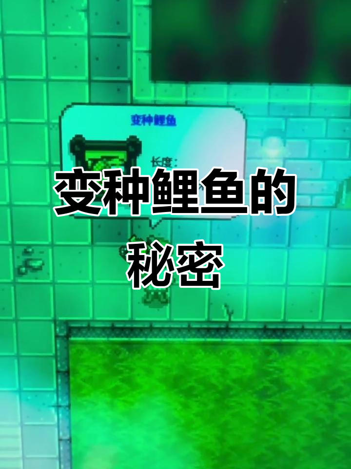 星露谷惊现变种鲤鱼,丑得不敢看!