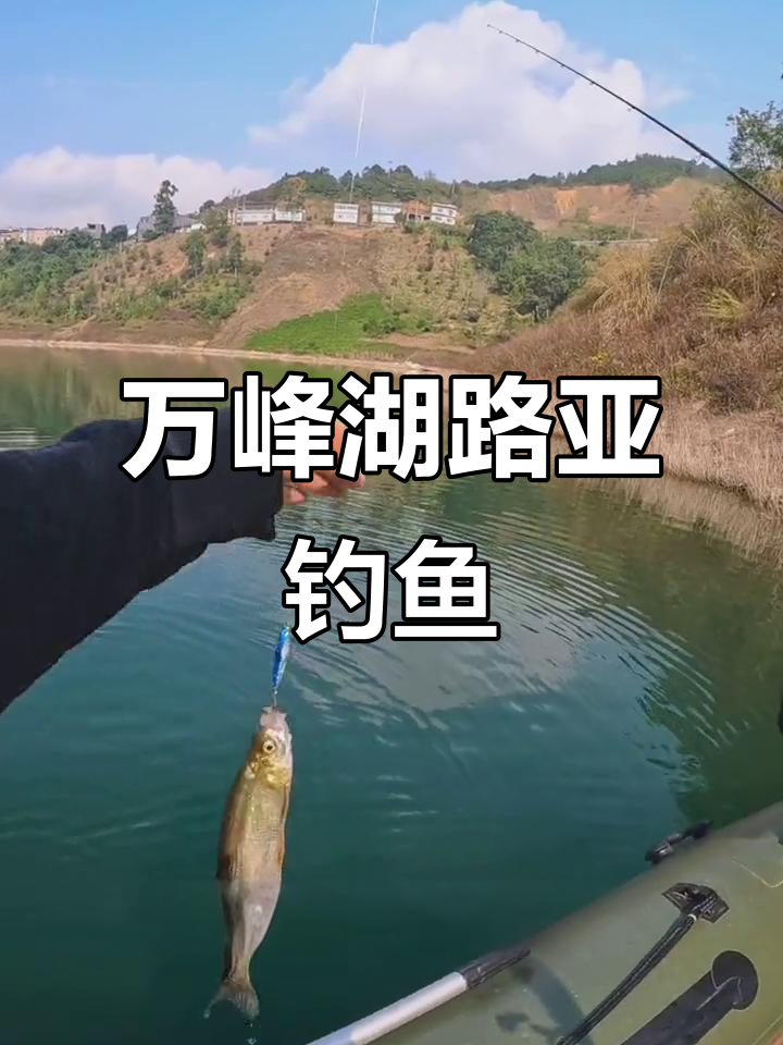 万峰湖路亚钓鱼:对象鱼种类丰富,轻松钓获