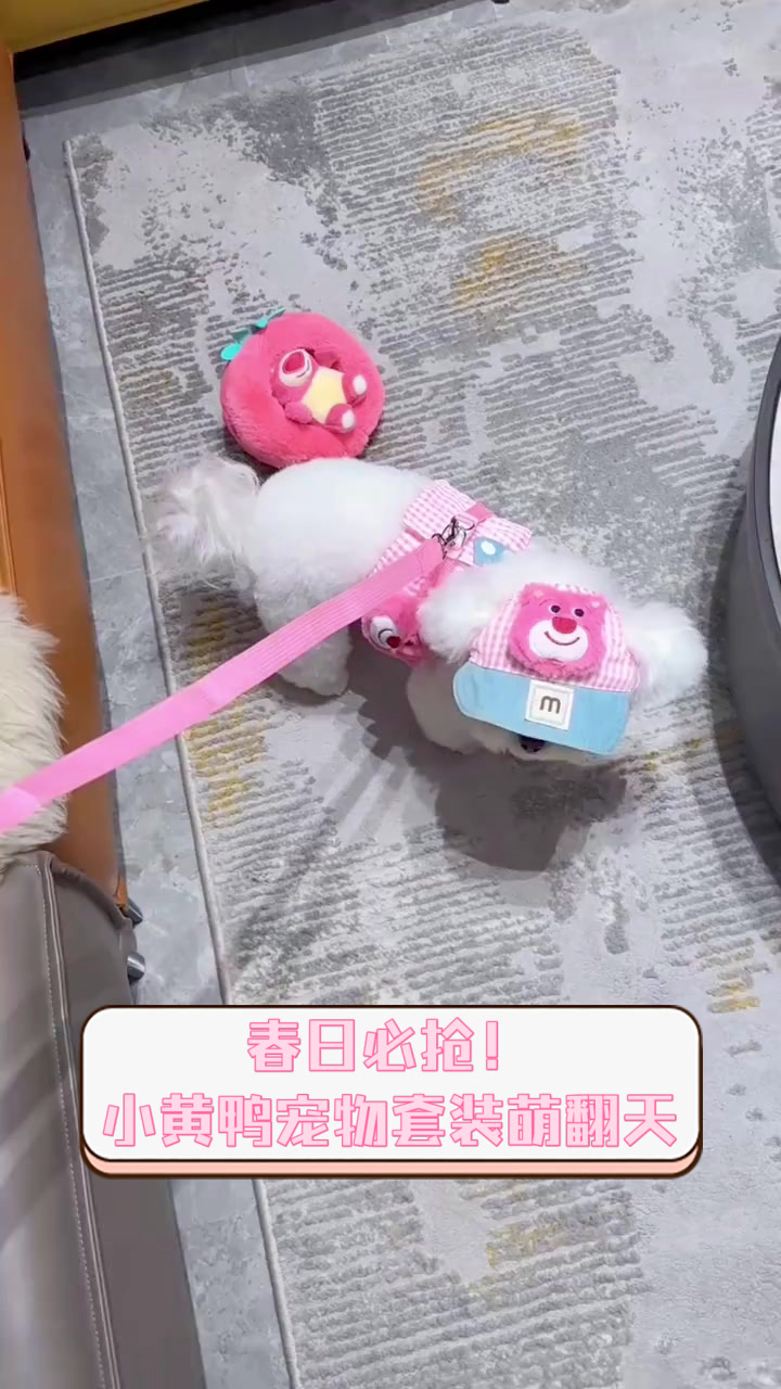 春日必抢!小黄鸭宠物套装萌翻天