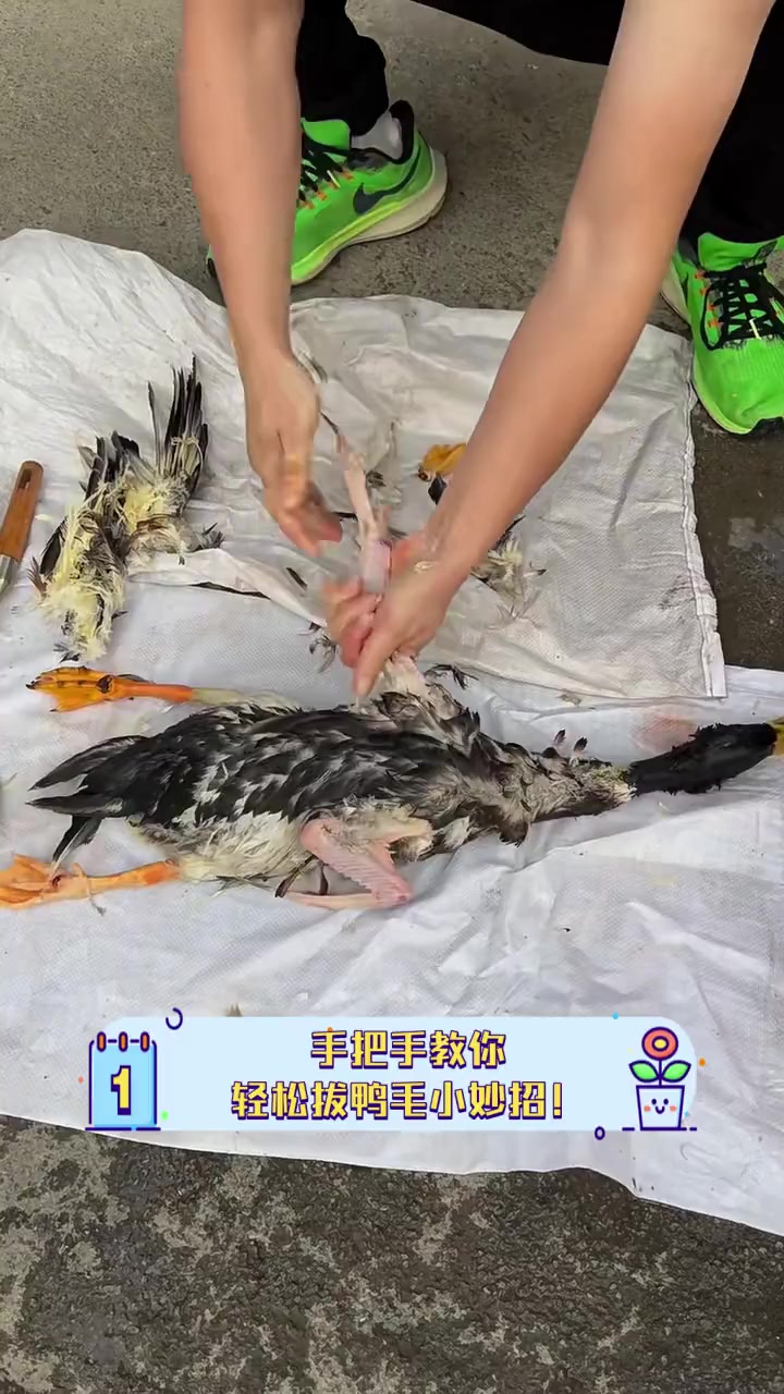 手把手教你,轻松拔鸭毛小妙招!