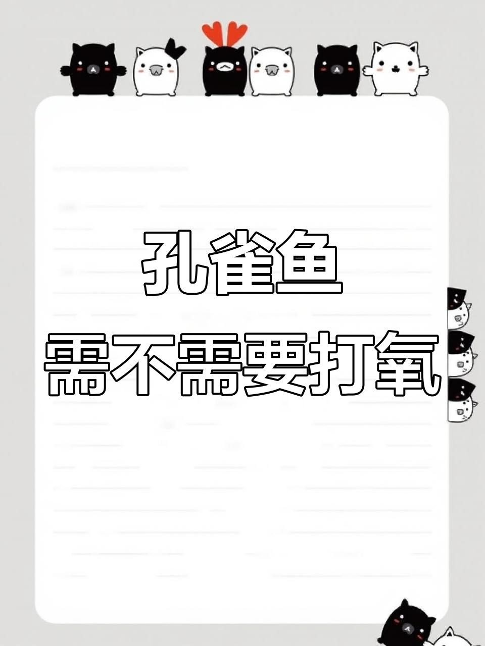 孔雀鱼养殖密度与打氧需求分析
