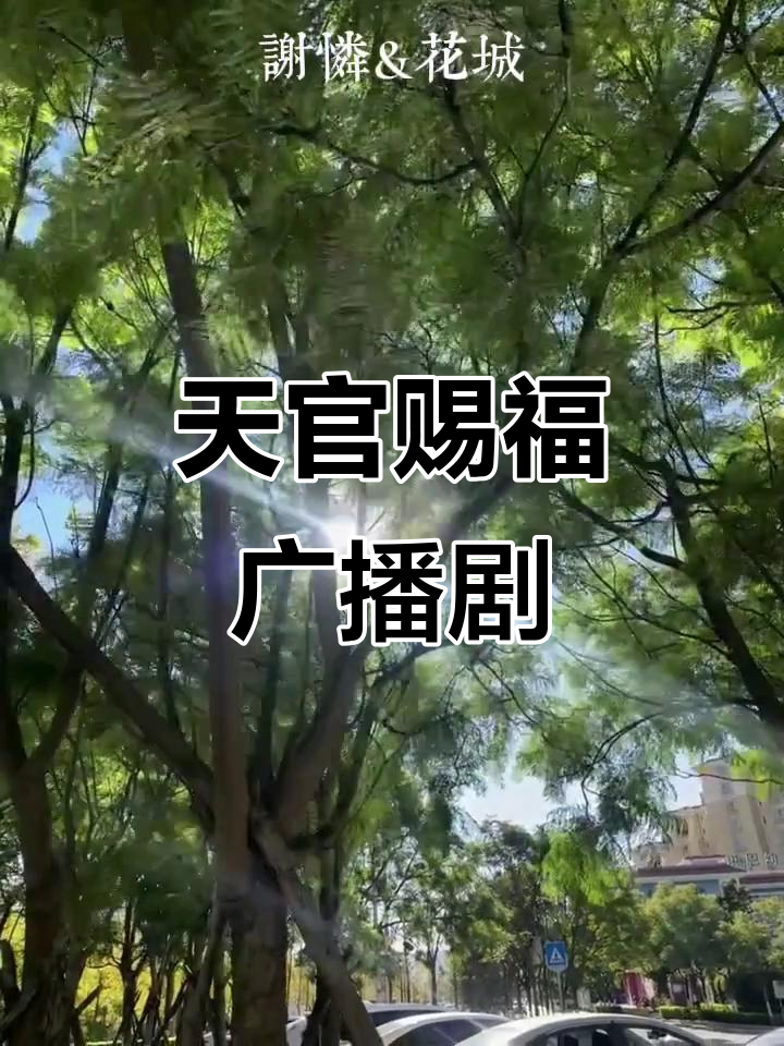 《天官赐福》广播剧大揭秘,花城与墨香铜臭的精彩故事