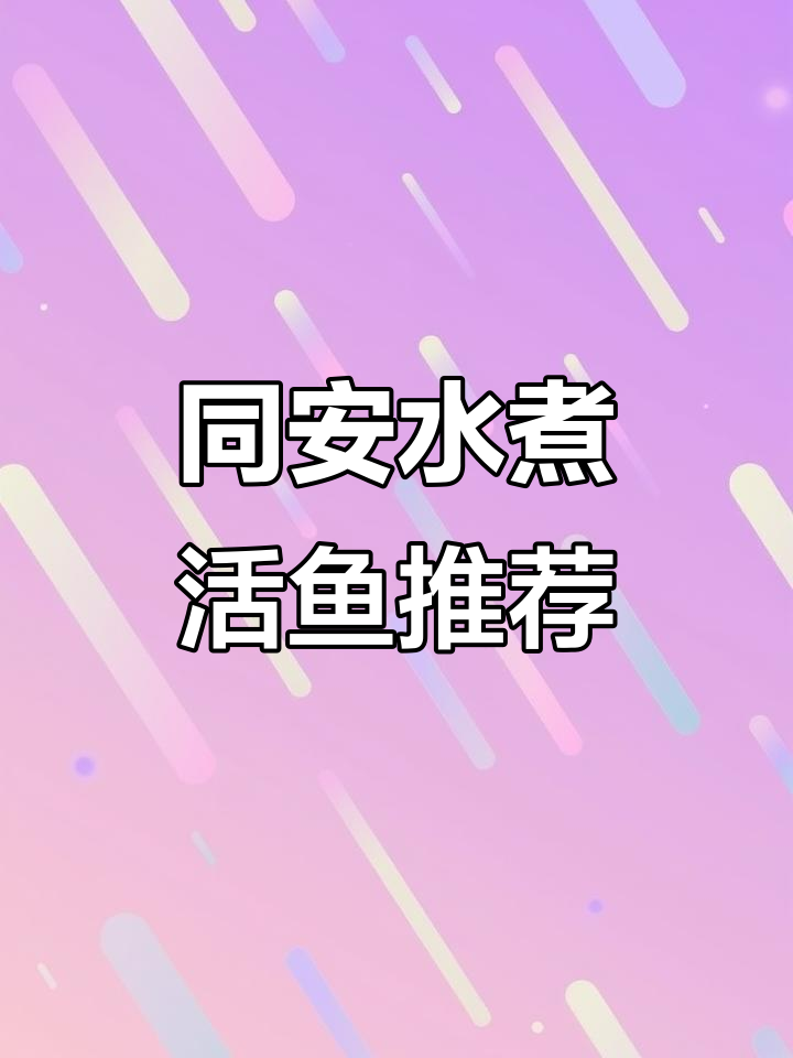 同安新开的水煮活鱼店,环境好、味道棒,聚餐首选!