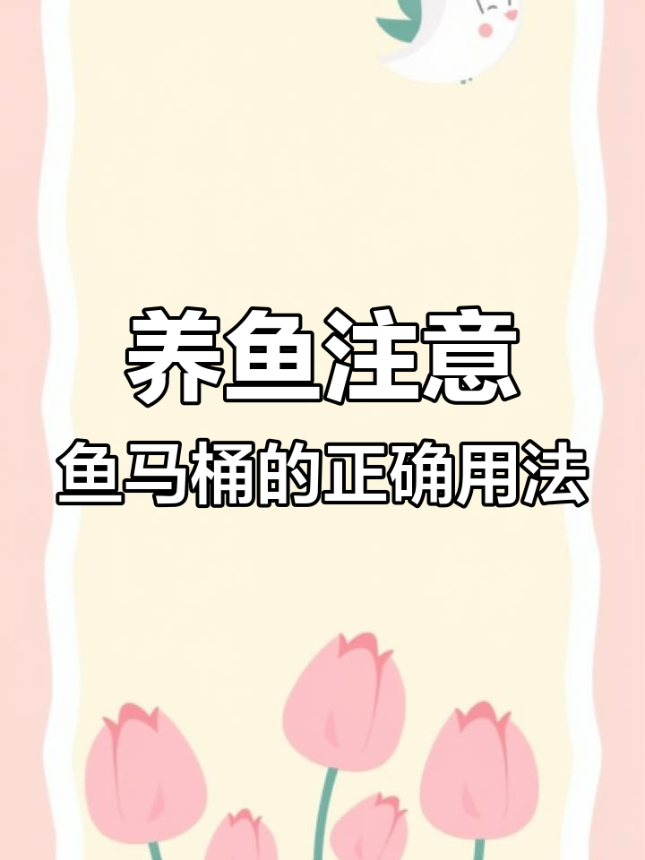 鱼马桶使用误区,堵塞原因竟是这些!