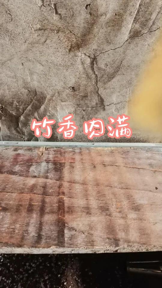 从“宁可食无肉,不可居无竹”到“居有竹,室有肉”,我的创意盆栽之路